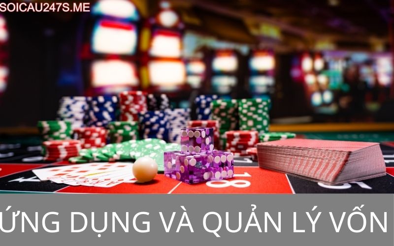 Ứng dụng và quản lý vốn
